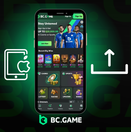 Unveiling the BC.Game Platform A Comprehensive Guide to Online Gaming Excellence